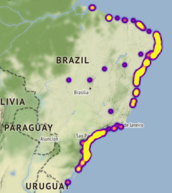 Imagem 4